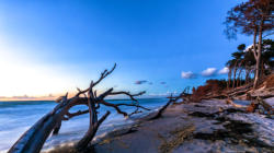 Ostsee auf dem Darß-Weststrand 3