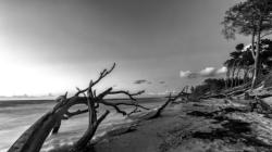 Ostsee auf dem Darß-Weststrand 4