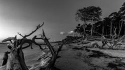 Ostsee auf dem Darß-Weststrand 2