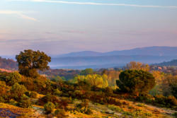 Roquebrune-sur-Argens 2