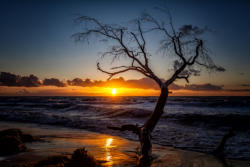 Sonnenuntergang Ostsee auf dem Darß 1